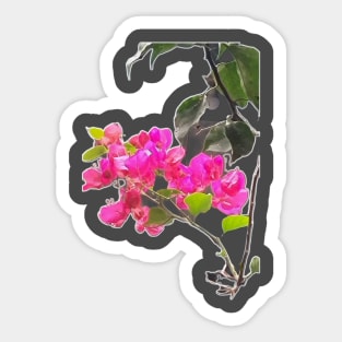 Flores Sticker